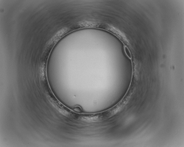 X0000080170065200612221301