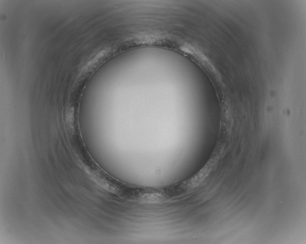 X0000080170066200612221301