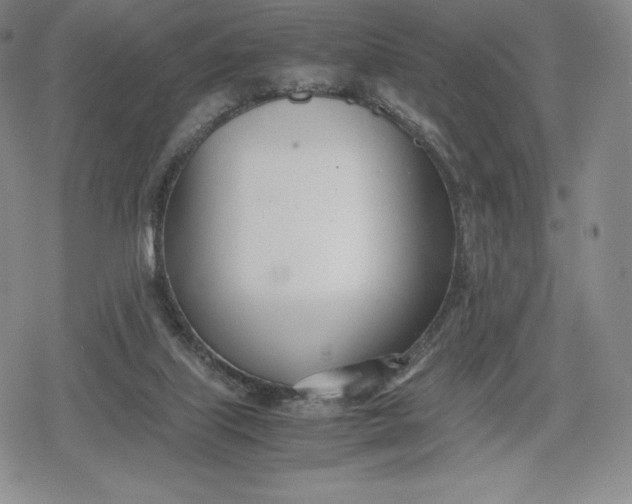 X0000080170067200612221301