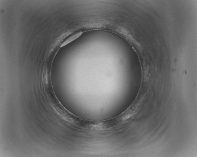 X0000080170068200612221301