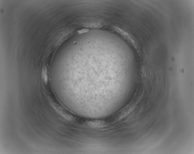 X0000080170069200612221301