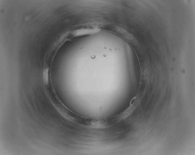 X0000080170070200612221301