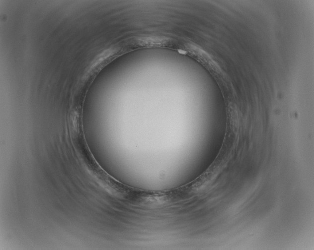 X0000080170071200612221301