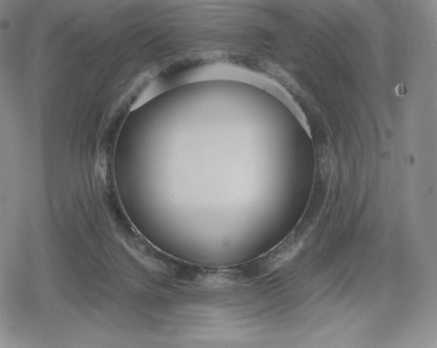 X0000080170072200612221301