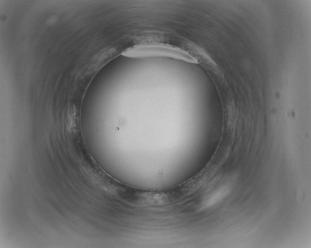 X0000080170073200612221301