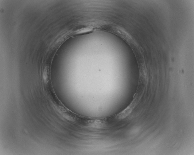 X0000080170074200612221301