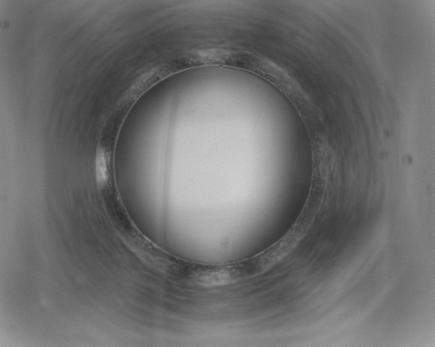 X0000080170075200612221301