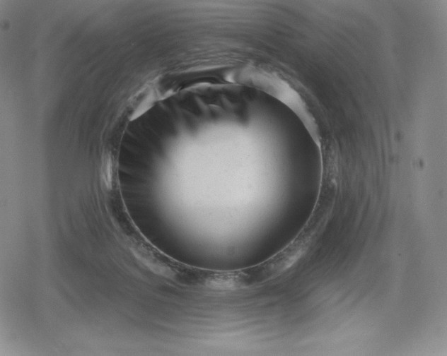 X0000080170076200612221301