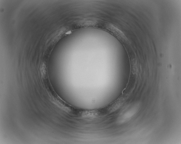 X0000080170077200612221301