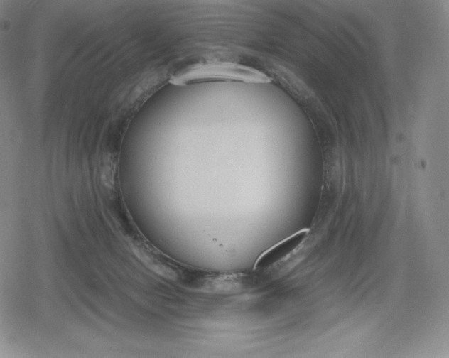 X0000080170078200612221301