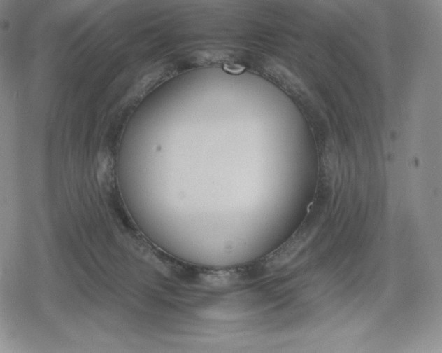 X0000080170079200612221301