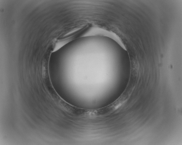 X0000080170080200612221301