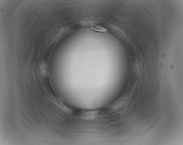 X0000080170081200612221301