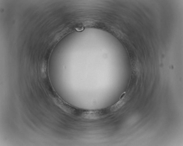 X0000080170082200612221301