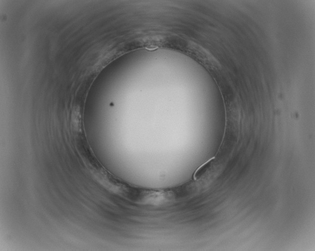 X0000080170083200612221301