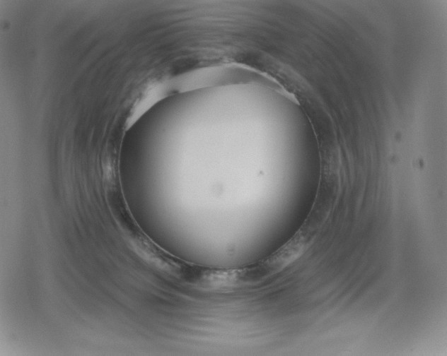 X0000080170084200612221301