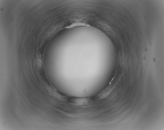 X0000080170085200612221301