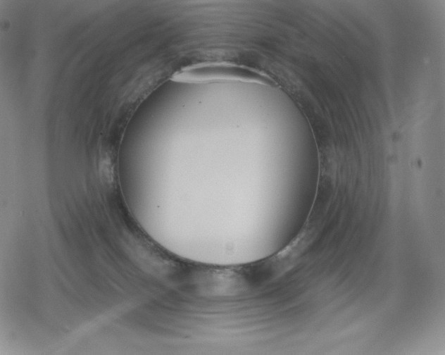 X0000080170086200612221301