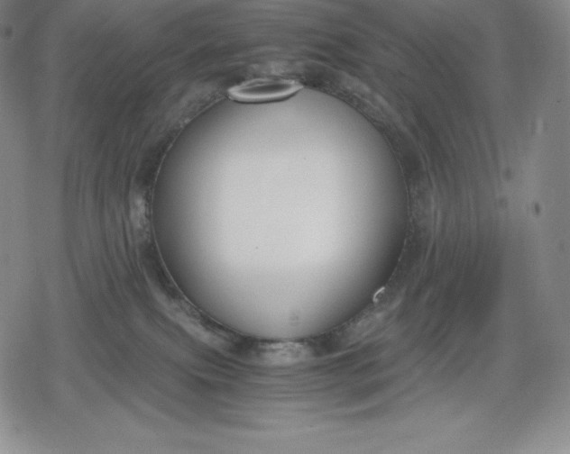 X0000080170087200612221301