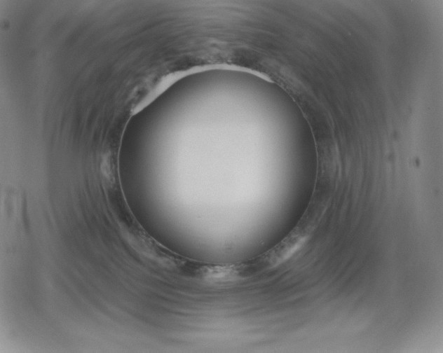 X0000080170088200612221301