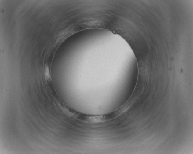 X0000080170089200612221301