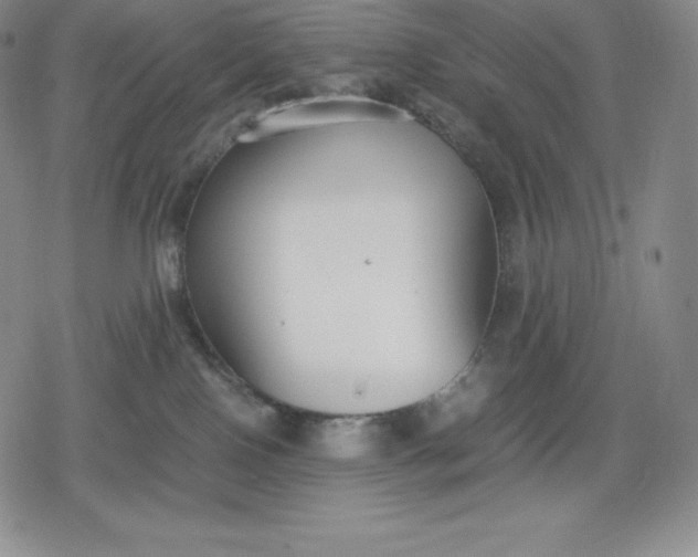 X0000080170090200612221301