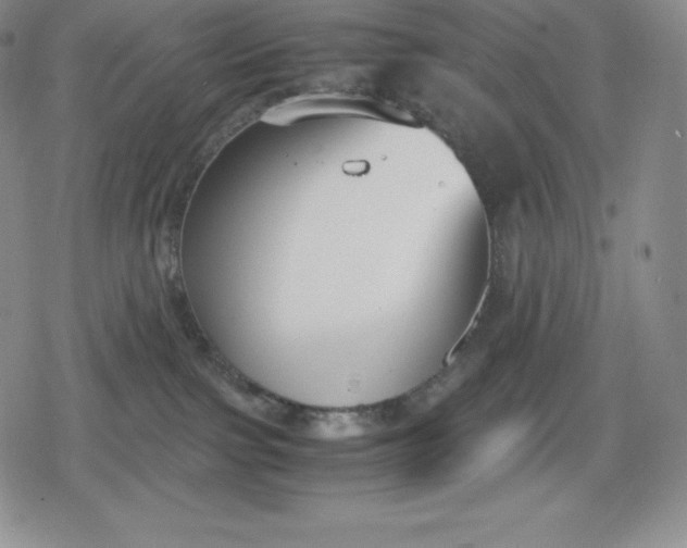 X0000080170091200612221301