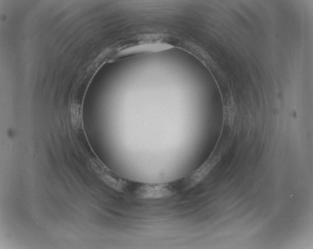 X0000080170093200612221301