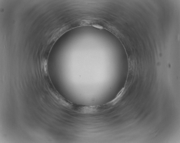 X0000080170094200612221301