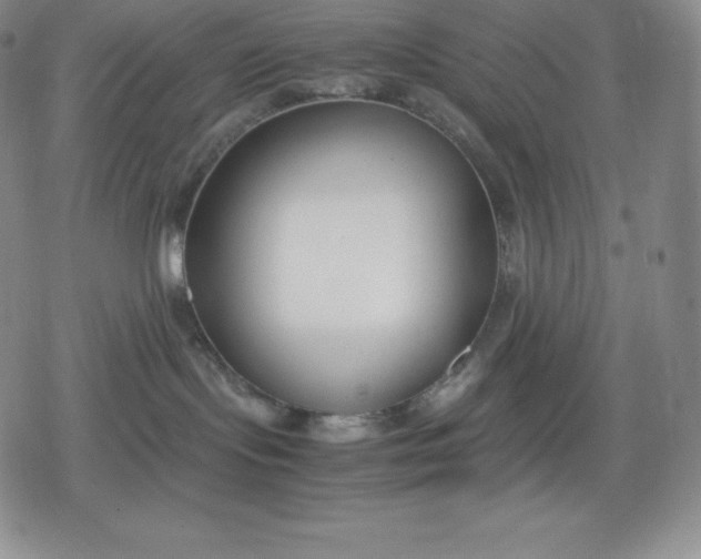 X0000080170095200612221301