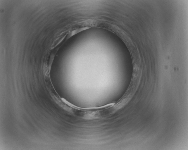 X0000080170096200612221301