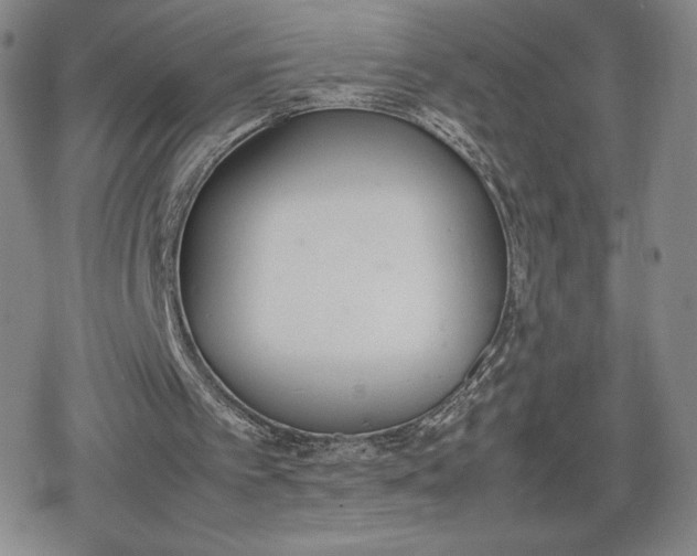 X0000080170097200612221301