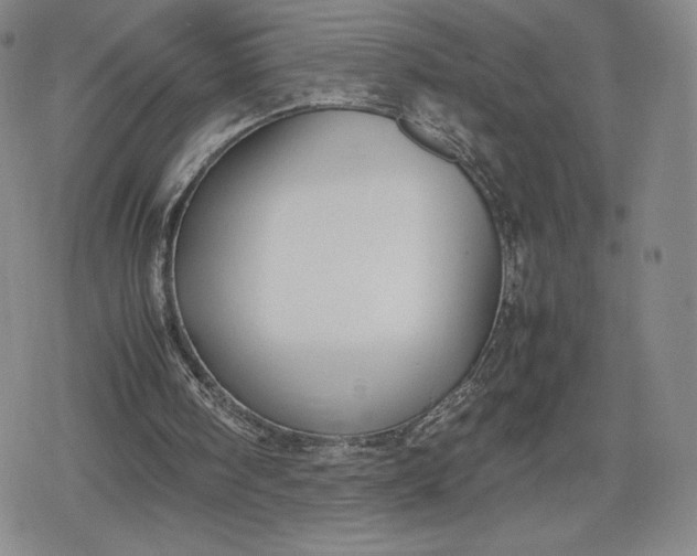 X0000080170098200612221301