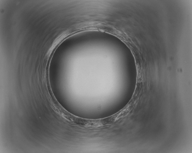 X0000080170099200612221301