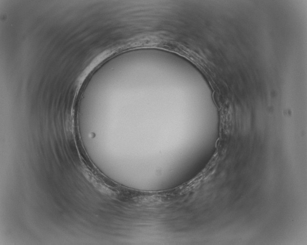 X0000080170100200612221301