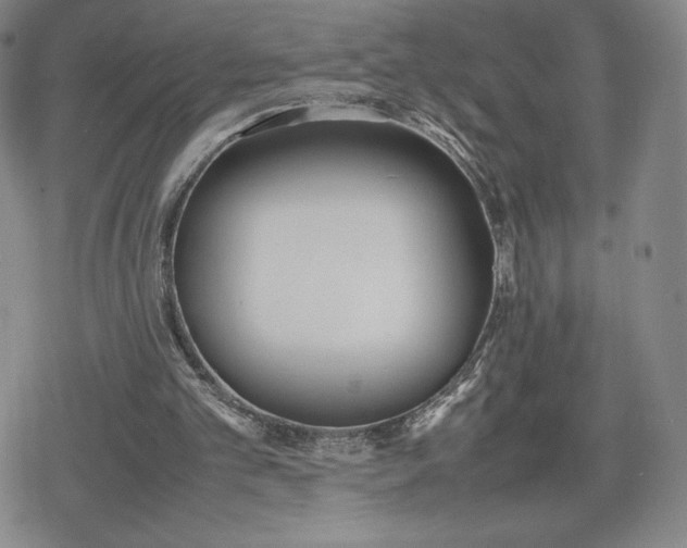 X0000080170101200612221301