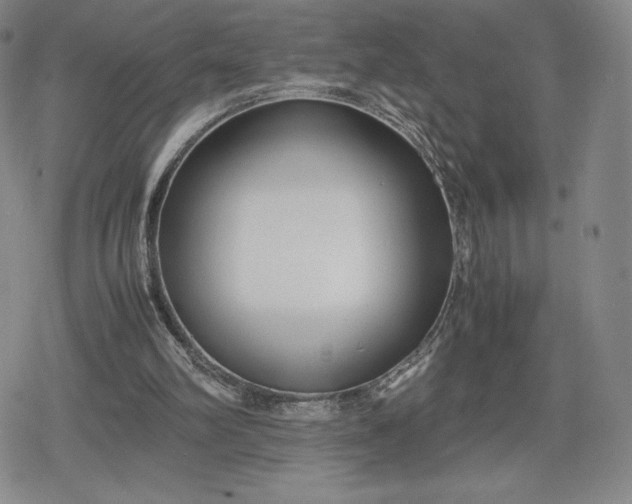 X0000080170102200612221301