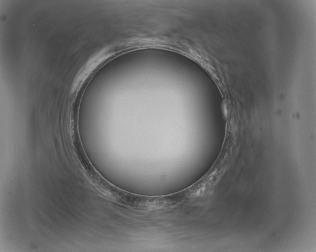 X0000080170103200612221301