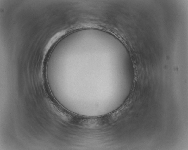 X0000080170104200612221301