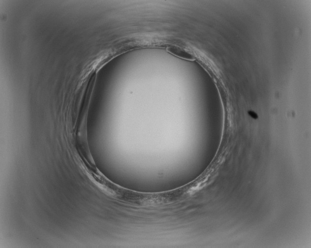 X0000080170105200612221301