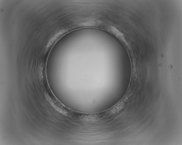 X0000080170106200612221301