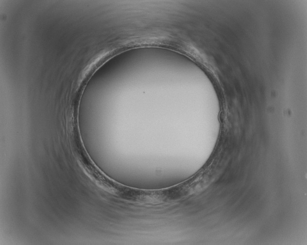 X0000080170107200612221301