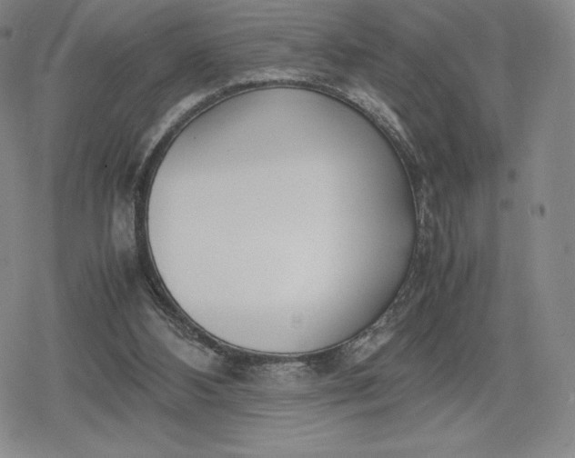 X0000080170108200612221300