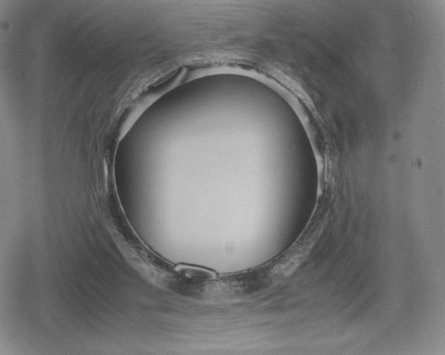 X0000080170109200612221300