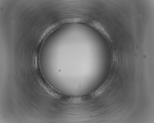 X0000080170110200612221300