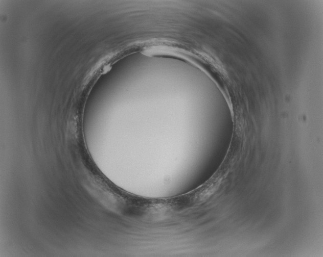 X0000080170111200612221300