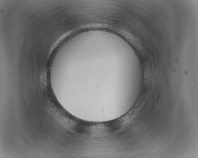 X0000080170112200612221300