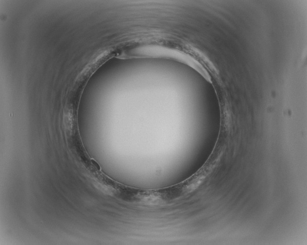 X0000080170113200612221300