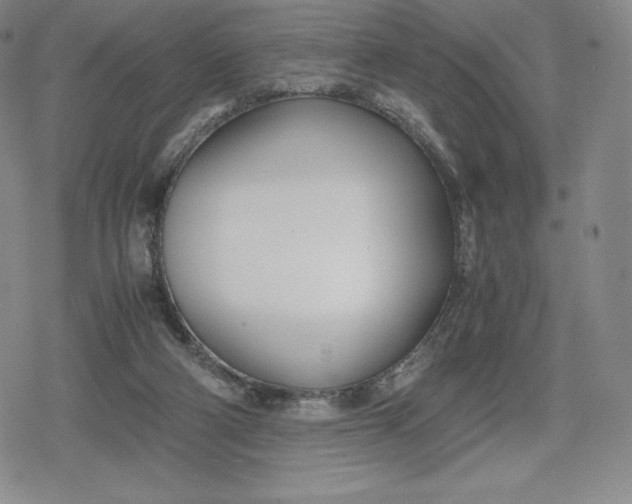 X0000080170114200612221300