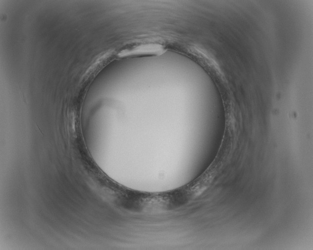 X0000080170115200612221300